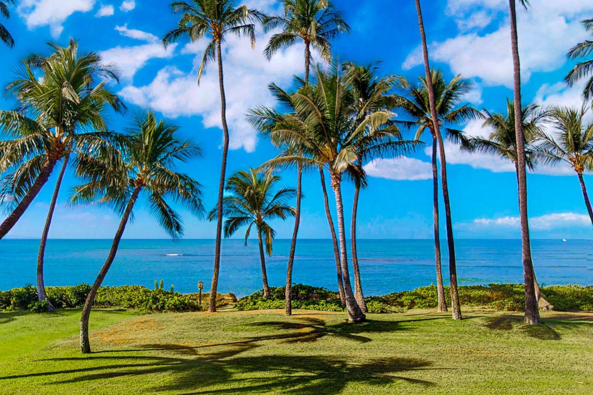 Vila Hale Kai O Kihei Pokoj fotografie